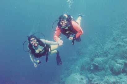 Matthew and Gail Jenkins Diving